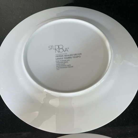 Studio Nova Mikasa Young Tempo LM302 Dinner Plate - Picture 2 of 5